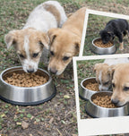 Blue Doggy Paw Keyring